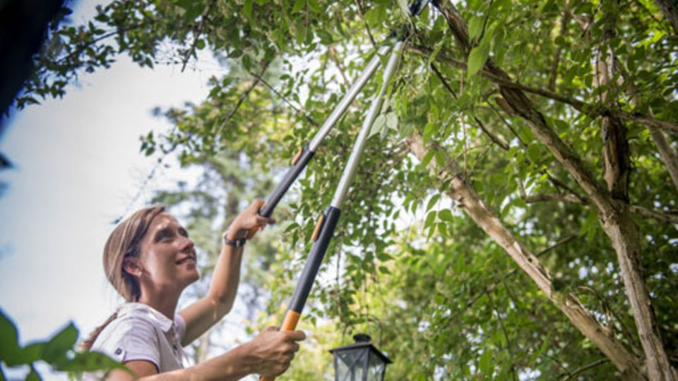 Fiskars-Astschere