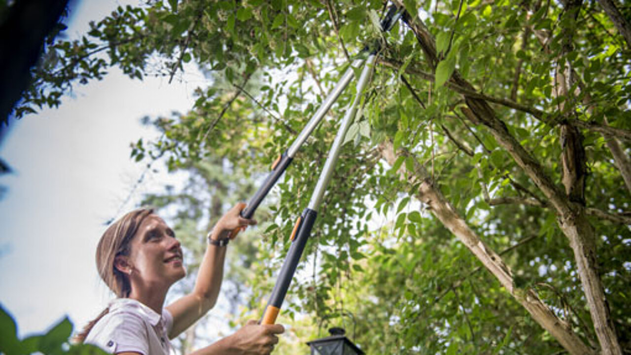 Fiskars-Astschere