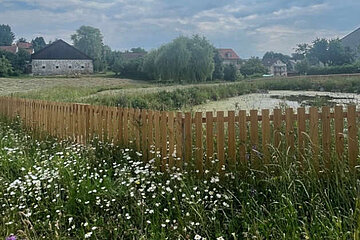 Image-17325