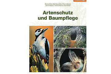 Artenschutz und Baumpflege
