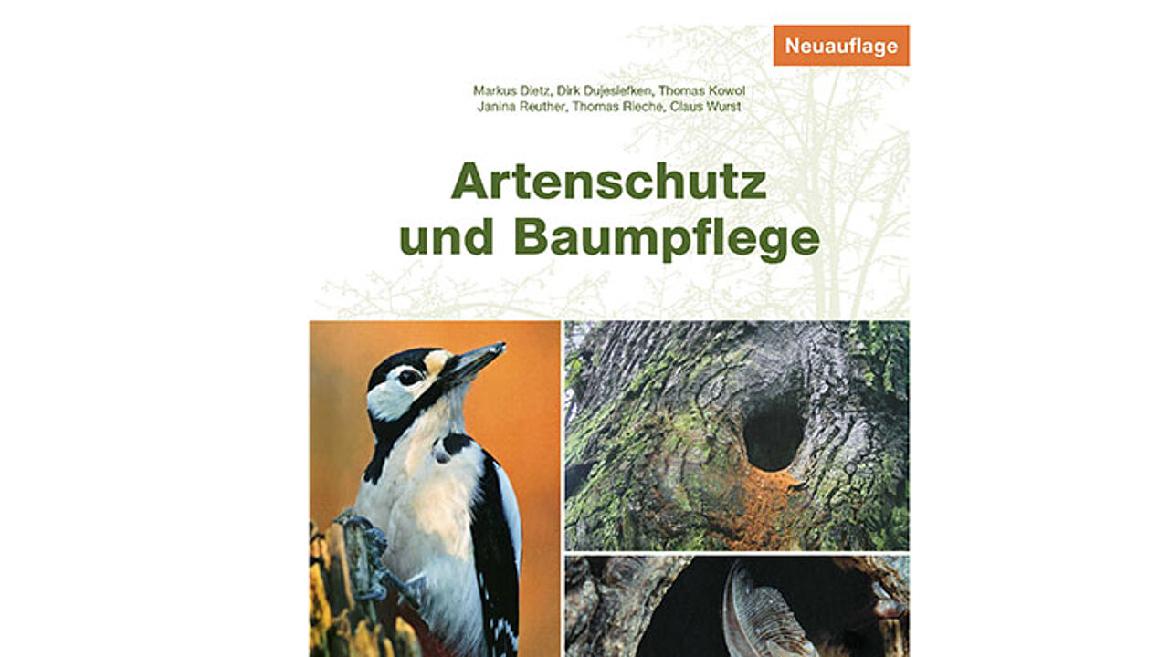 Artenschutz und Baumpflege