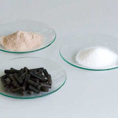 BioEcoSim-Verfahren