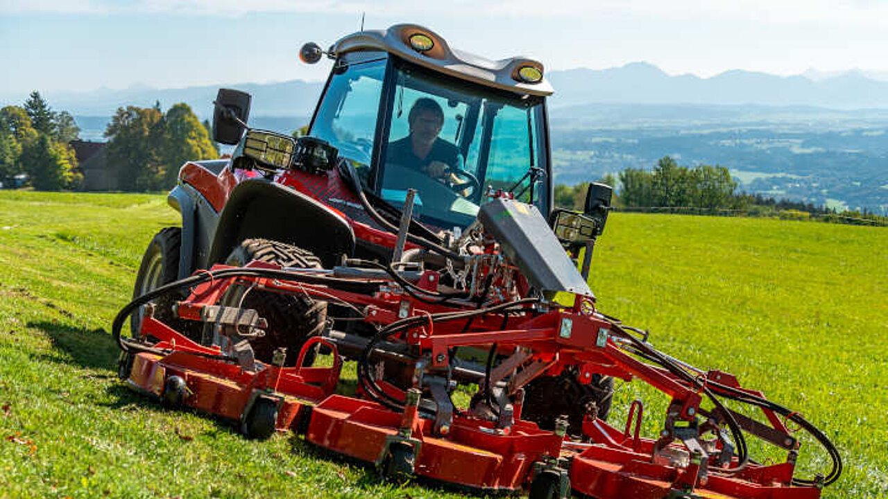 image-17281
