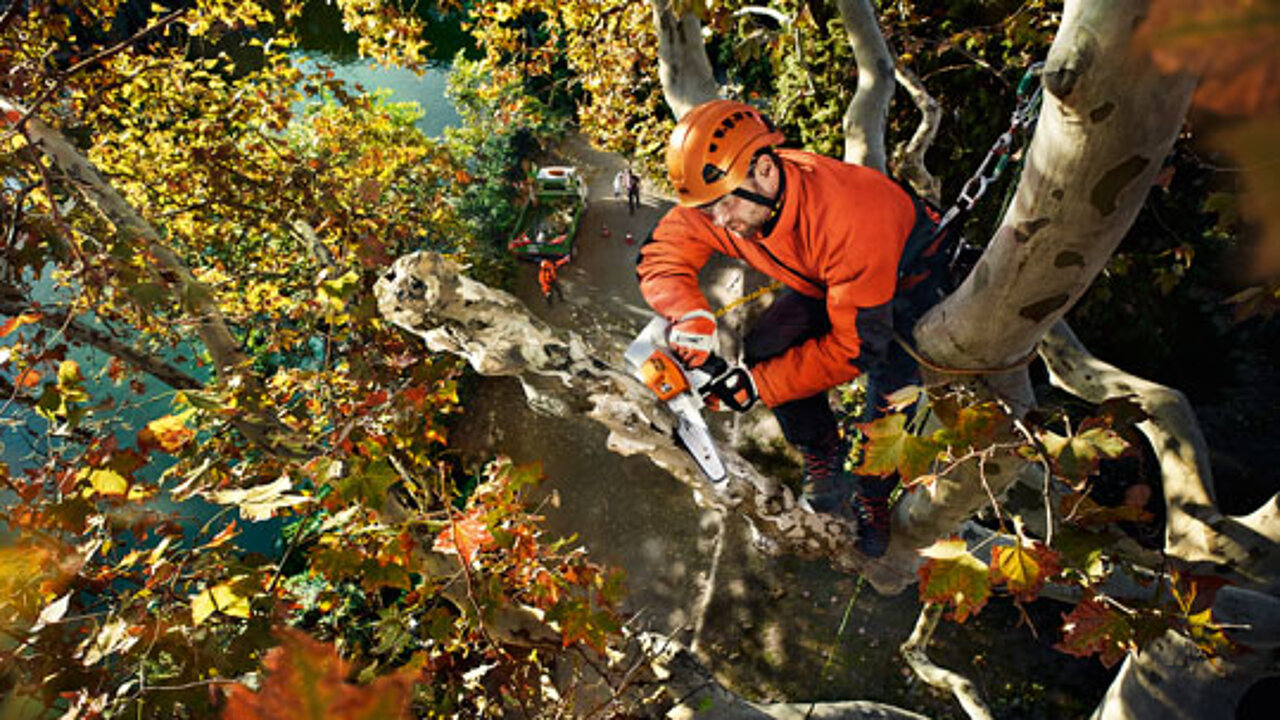 STIHL-Akku-Baumpflegesäge