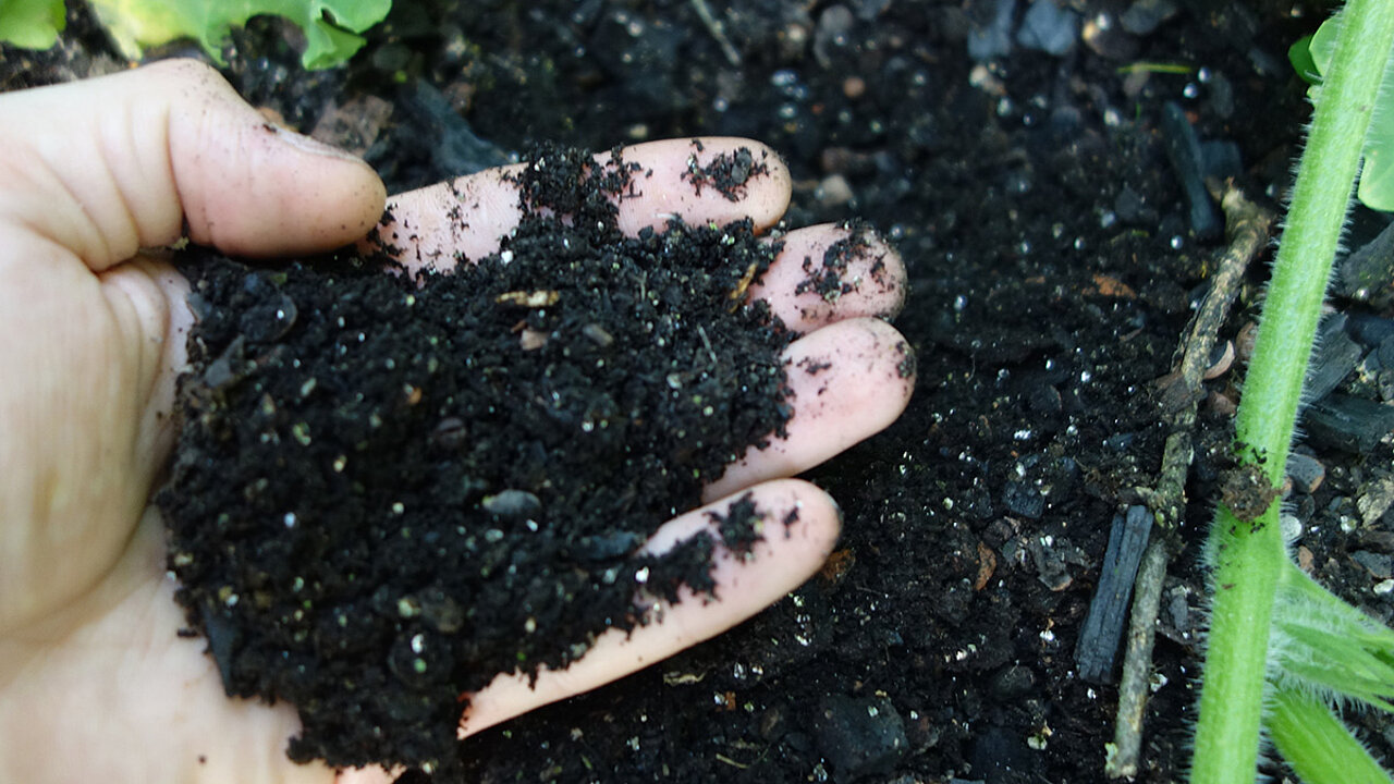 klimafarmer - torffreie Erde