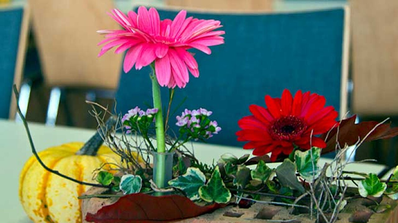 Urban Gardening