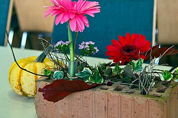 Urban Gardening