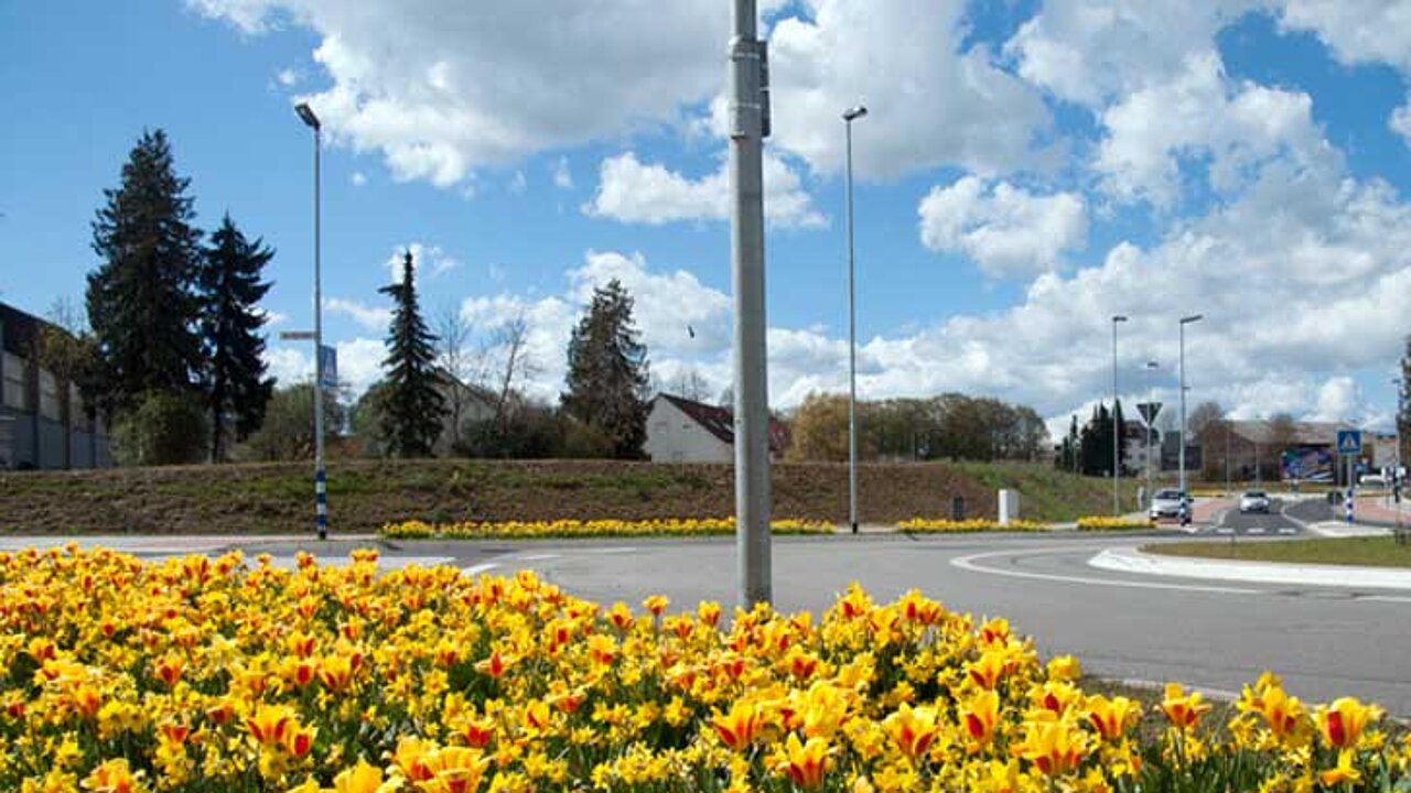 Grünfläche