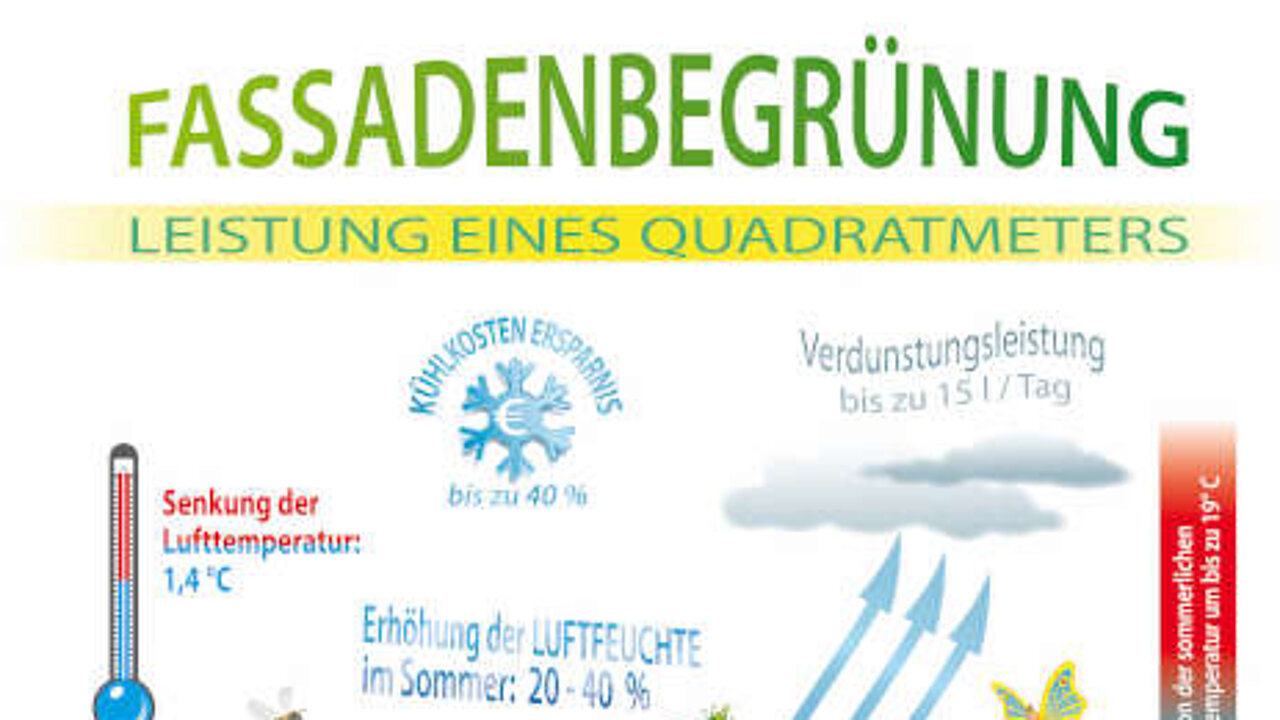 Abbildung