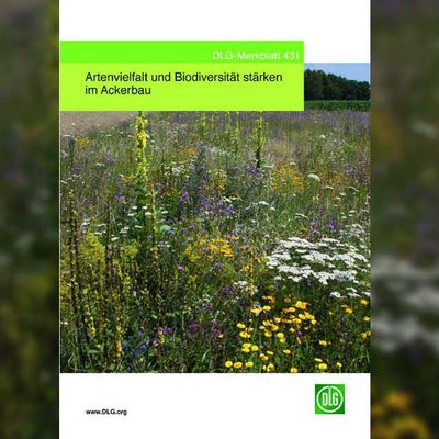 Merkblatt