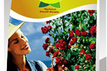 Stender auf IPM