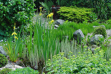 Feuchtgebiete im Garten