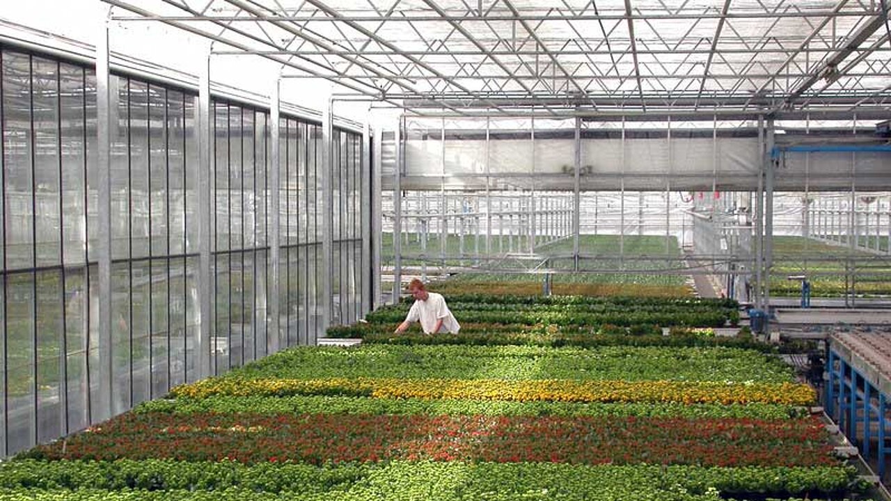 Gartenbaubetrieb