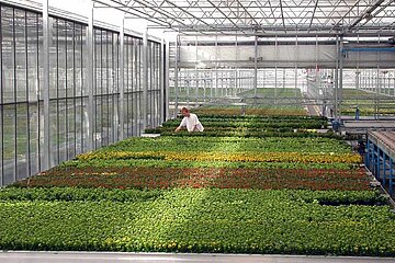 Gartenbaubetrieb