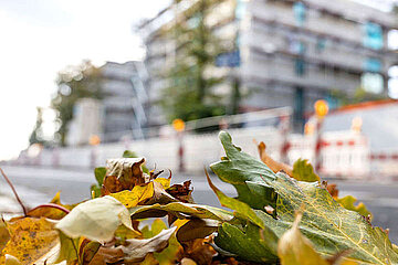 Image-13578