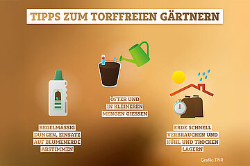 Tipps