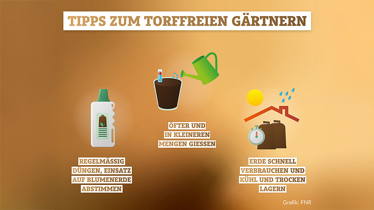 Tipps