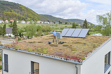Image-18241