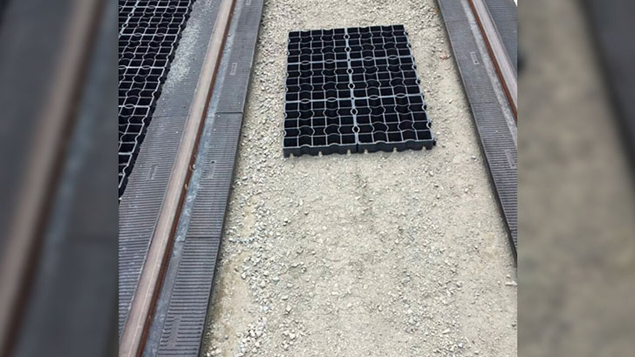 Begrünung der Gleisanlage
