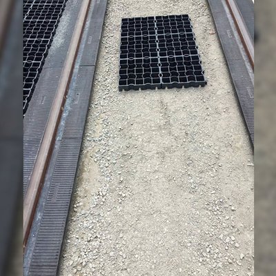 Begrünung der Gleisanlage