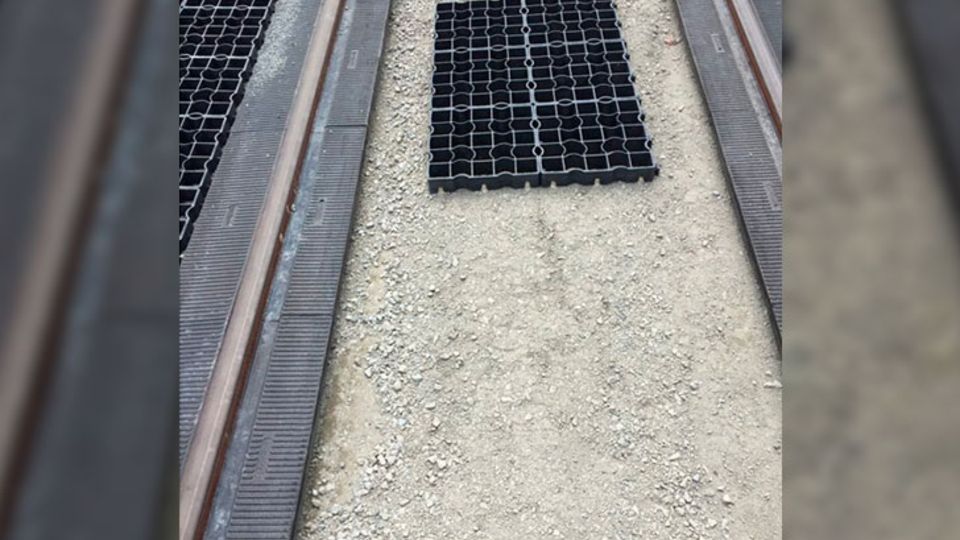 Begrünung der Gleisanlage