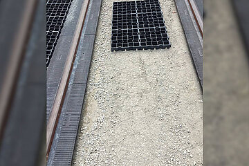 Begrünung der Gleisanlage