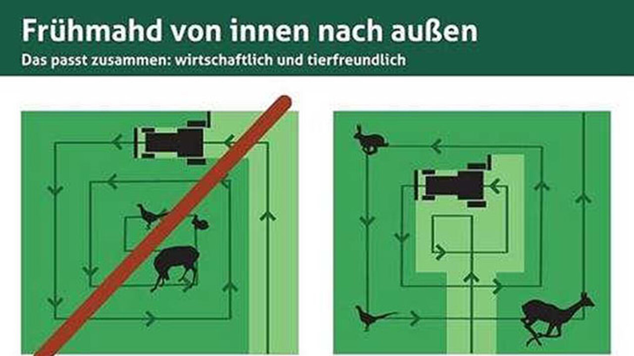 Frühmahd