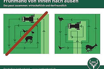 Frühmahd