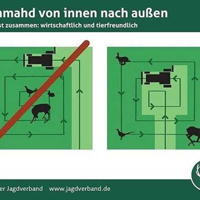 Frühmahd