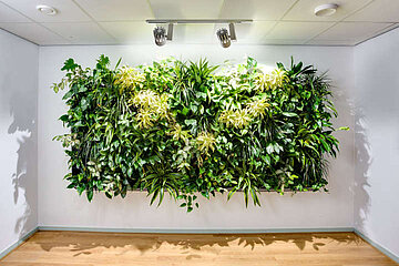 Image-17860
