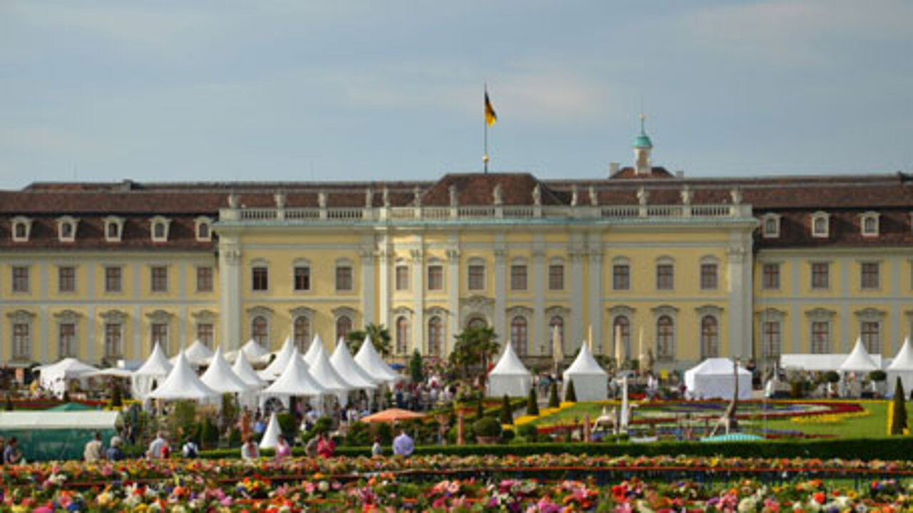 Blühende Barock