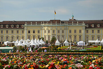 Blühende Barock