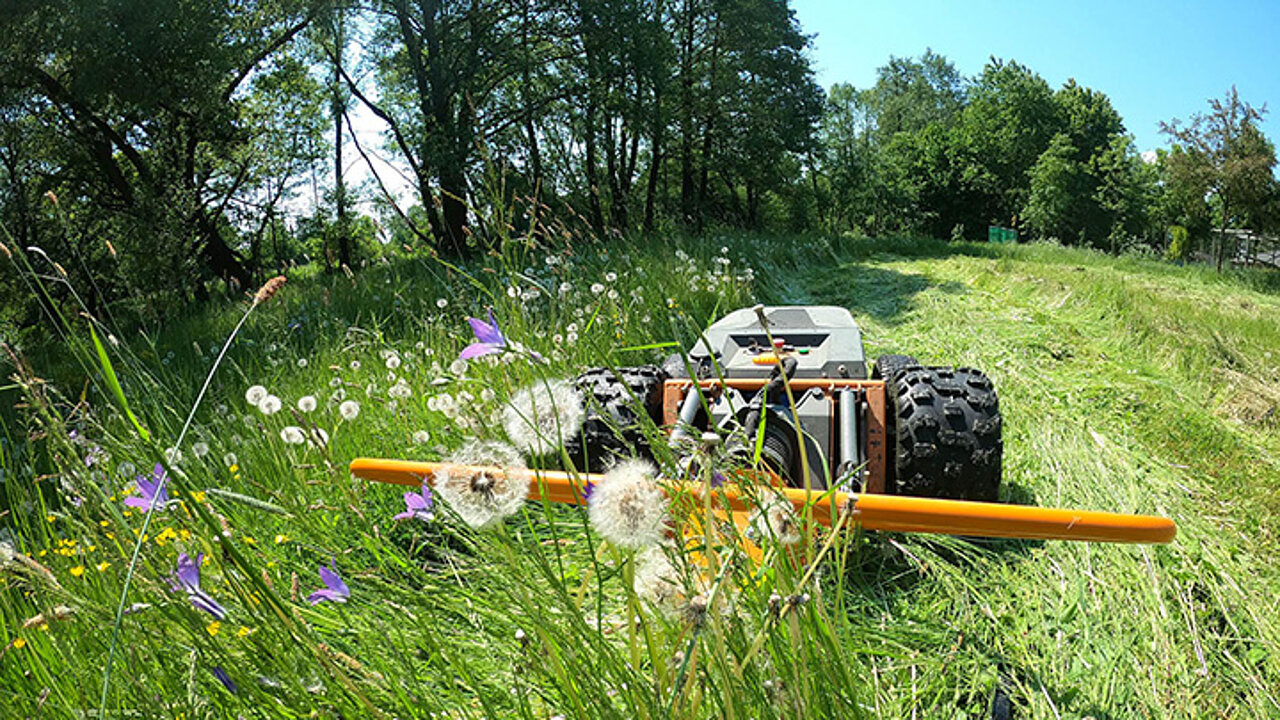 ISEKI Elektromäher