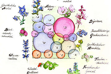 Wildstaudenbeet
