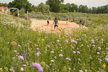 Grüner Spielplatz
