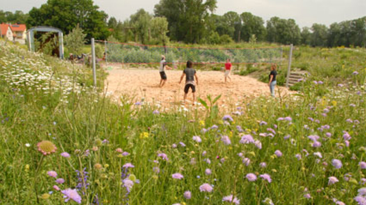 Grüner Spielplatz