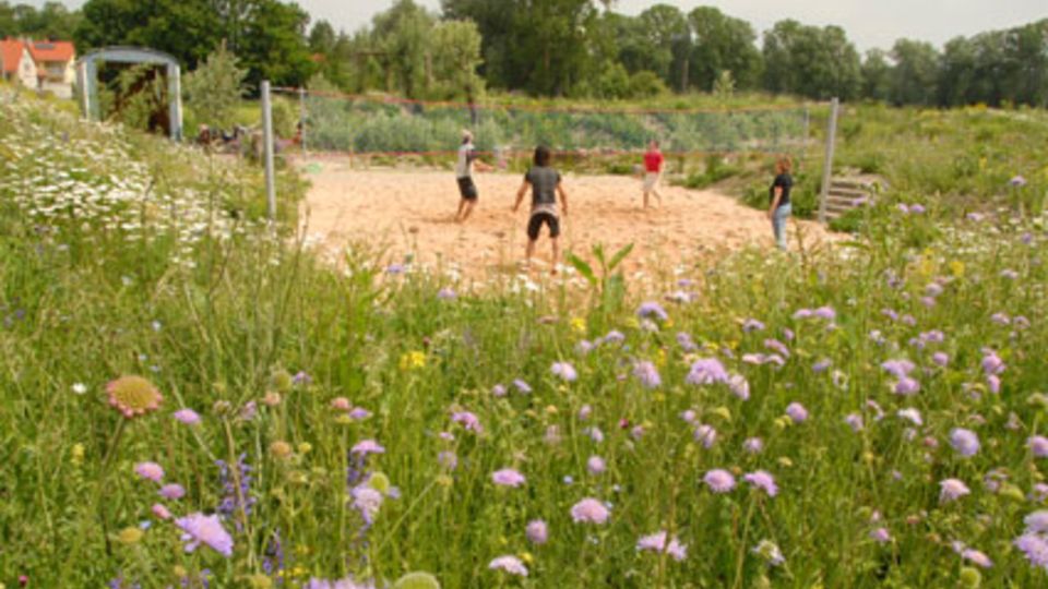 Grüner Spielplatz