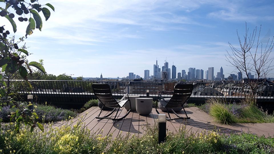 Terrassendielen