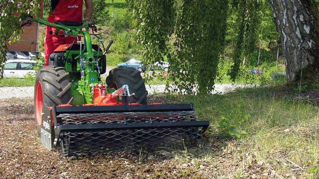 Wildkrautbürsten