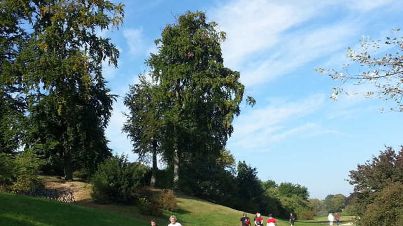 Park