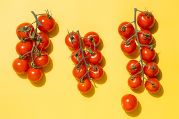Tomaten