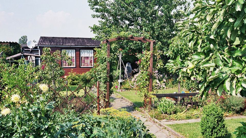 Kleingarten