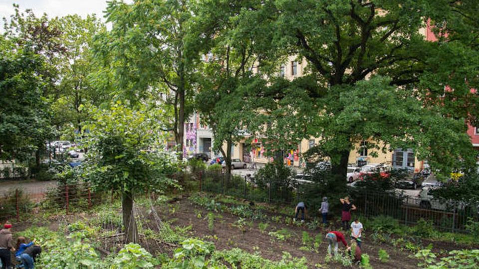 Schulgarten