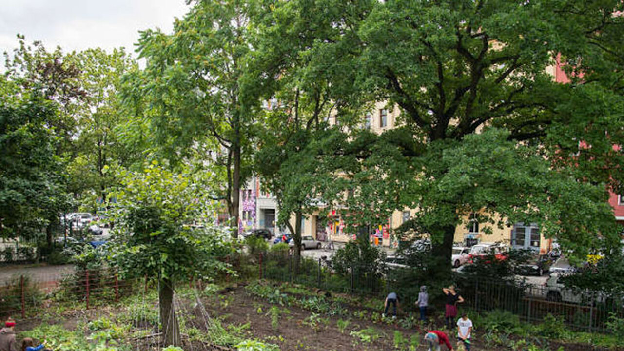 Schulgarten