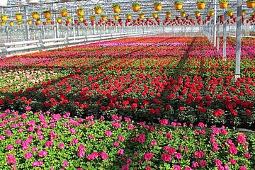 Gartenbau Salzwedel