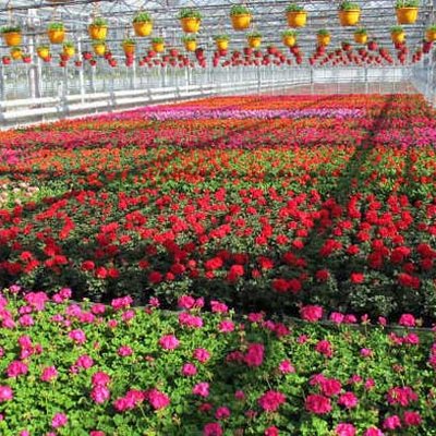 Gartenbau Salzwedel