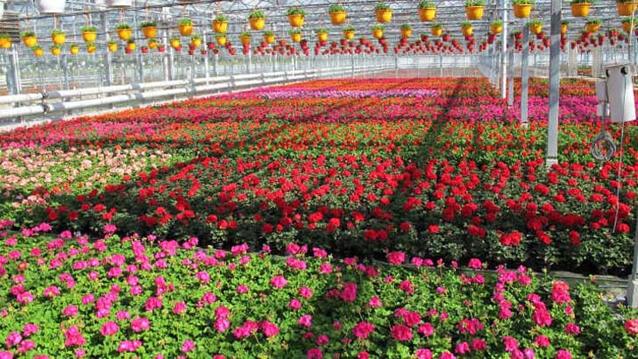 Gartenbau Salzwedel