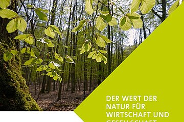 TEEB-Studie
