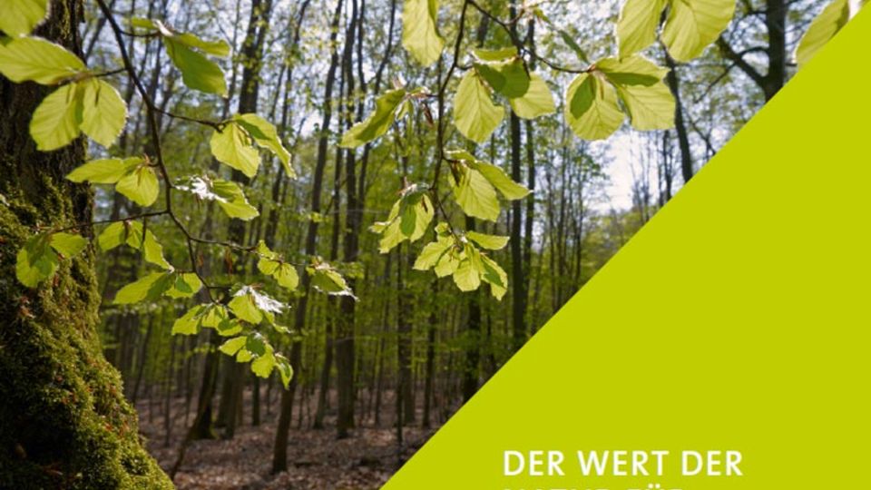 TEEB-Studie