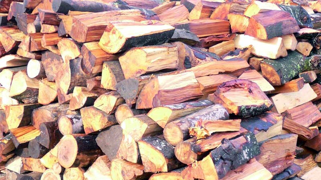 Brennholz